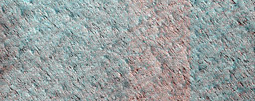 Terrain Sample