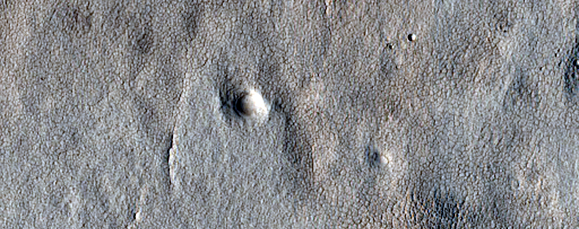 Terrain Sample