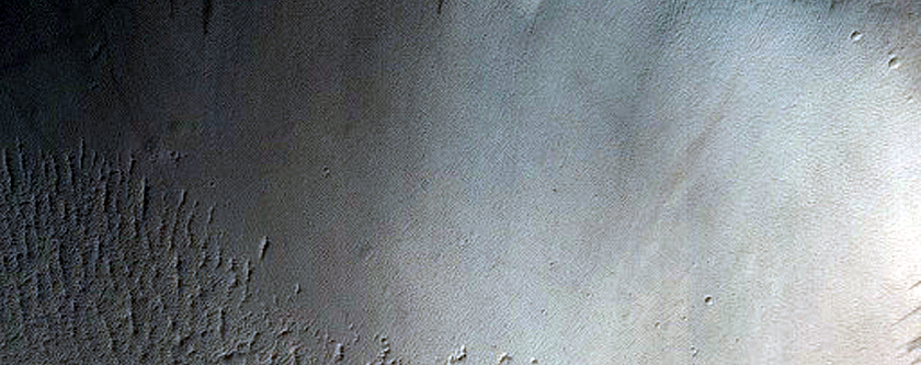 Terrain Sample