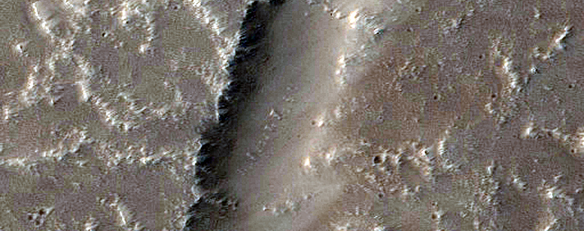 Terrain Sample in Tractus Catena