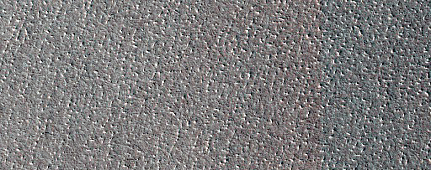 Terrain Sample