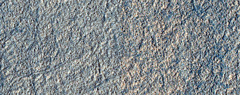 Terrain Sample