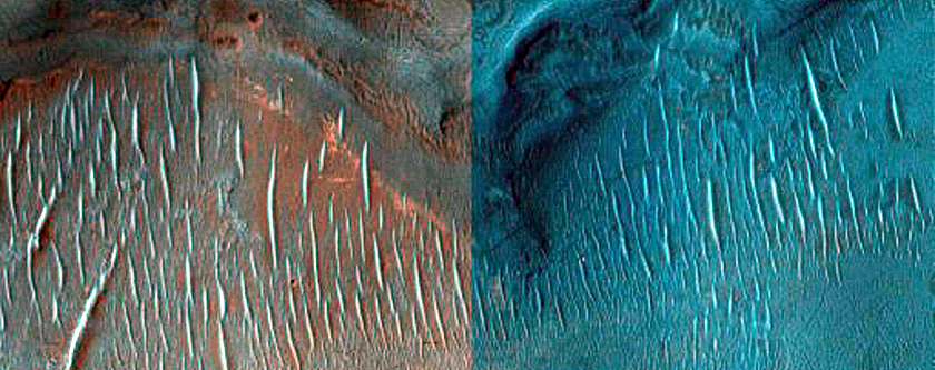 Bedrock in Syrtis Major Region