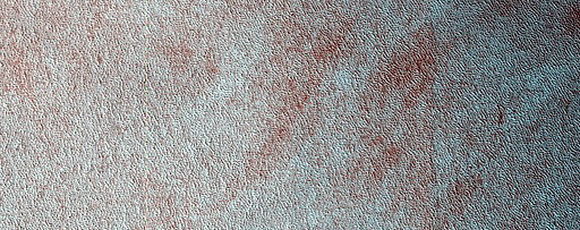 Terrain Sample