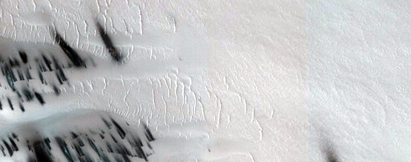 Chasma Boreale Scarp Dunes
