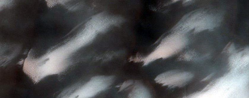 Dunes Dubbed Cool Fans