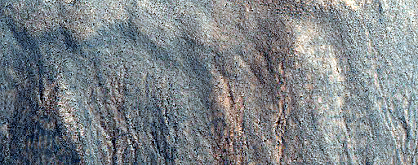Gully Monitoring