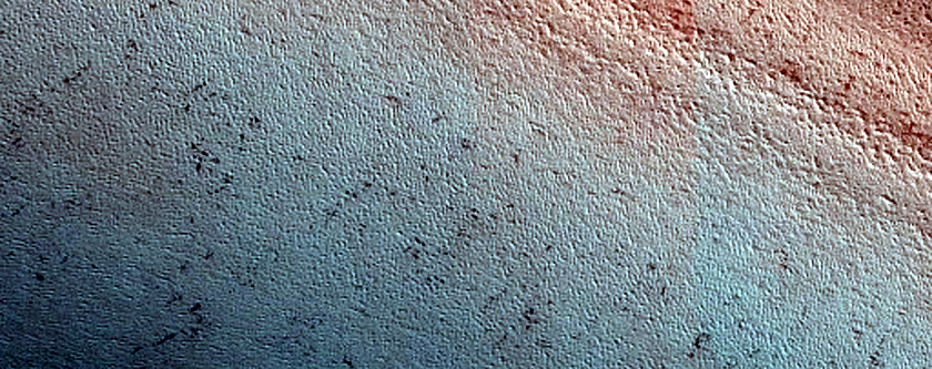 Terrain Sample