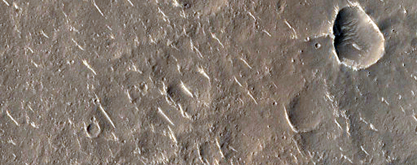 Terrain Sample