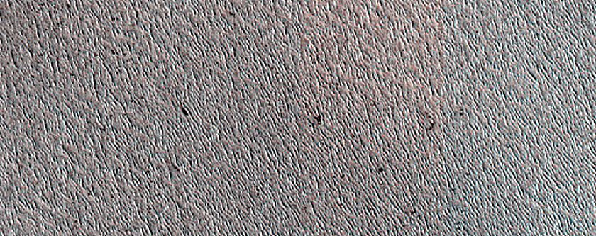 Terrain Sample
