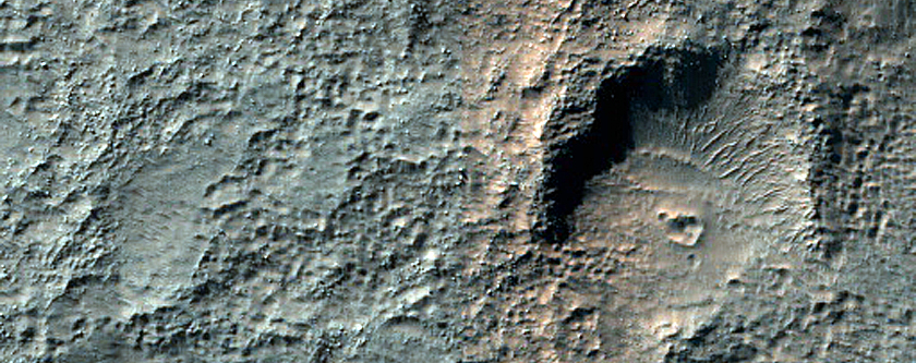 Terrain Sample