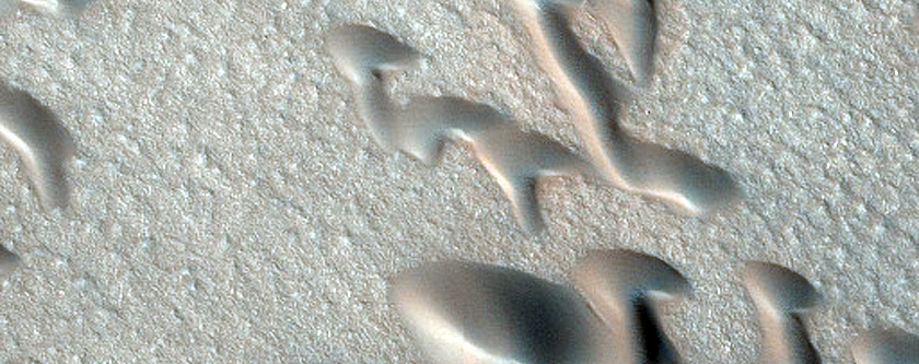 Terrain Sample