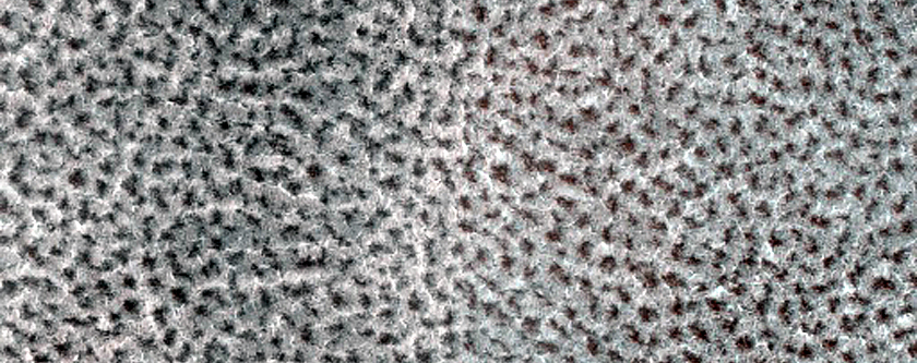 Terrain Sample