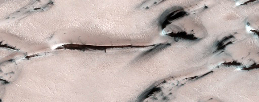 Seasonal Ice-Dune Interactions in Olympia Undae