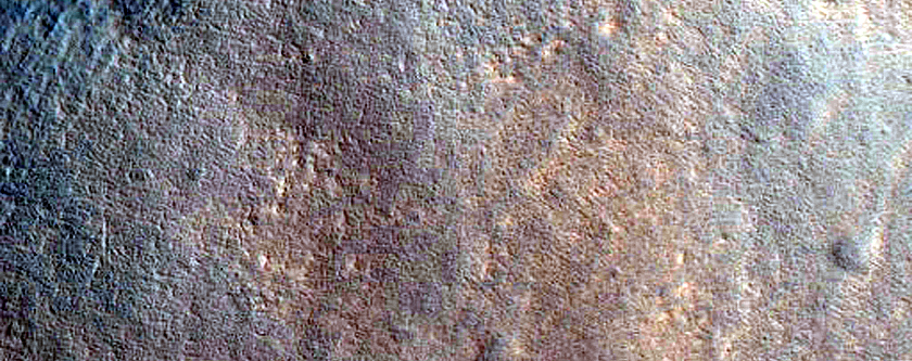 Gullies in Northern Mid-Latitude Crater