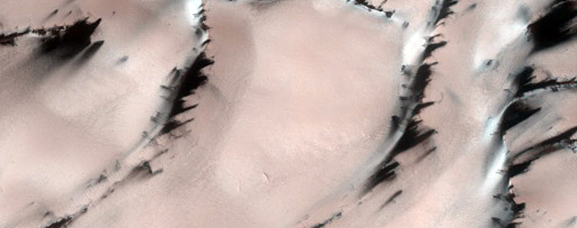 Terrain Sample