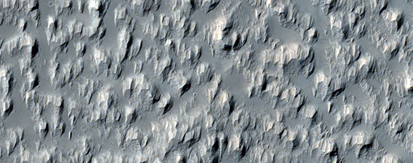 Daedalia Planum Flow Sample