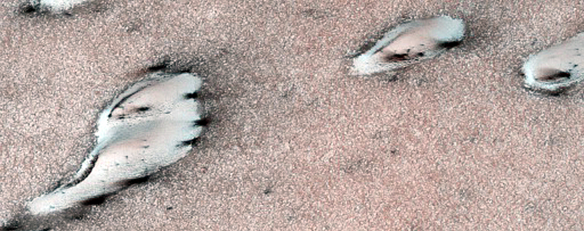 West Olympia Region Dune Ice Interaction