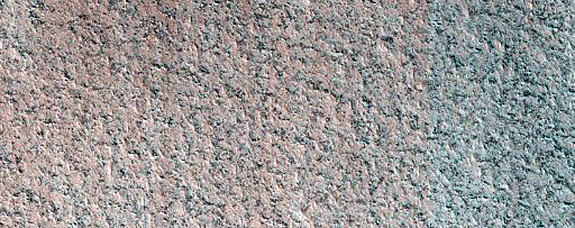Terrain Sample