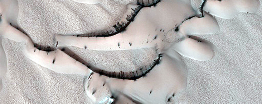 Dunes Dubbed Kolhar