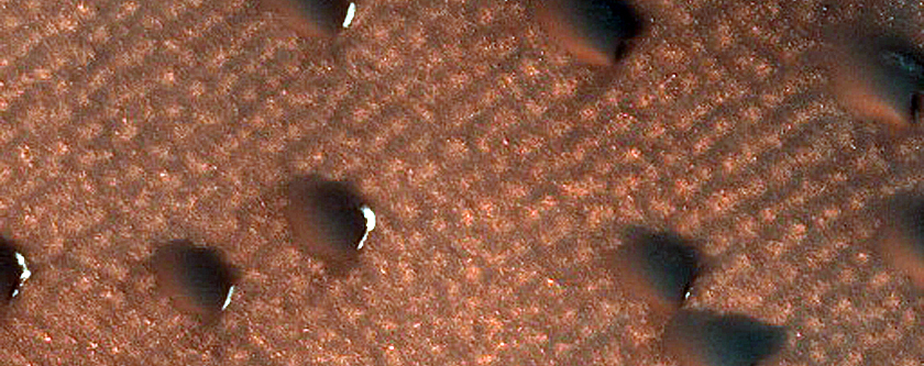 Dunes Dubbed Caladan