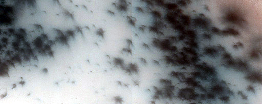 Dunes Dubbed Capistrano