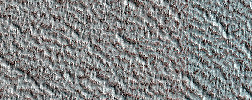 Terrain Sample