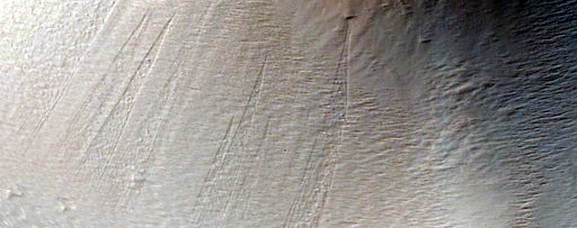 The Persistence of Dust
