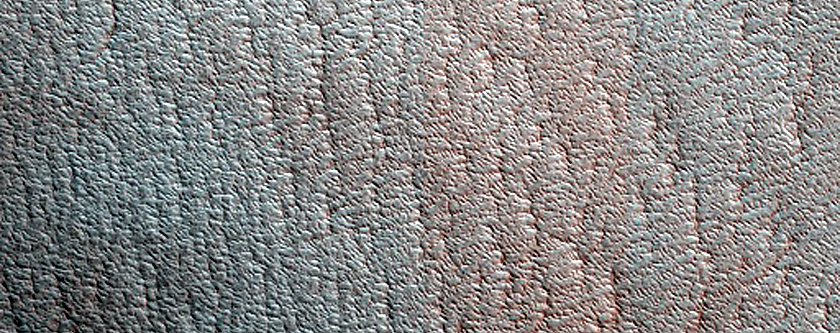 Terrain Sample