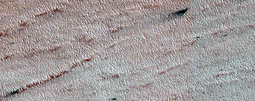 Chasma Boreale Linear Duneforms