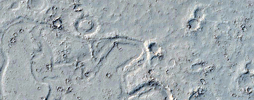 Elysium Planitia Lava