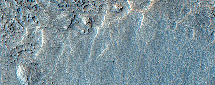 Protonilus Mensae Terrain