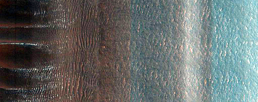 Western Abalos Scopuli Scarp and Dune Monitoring