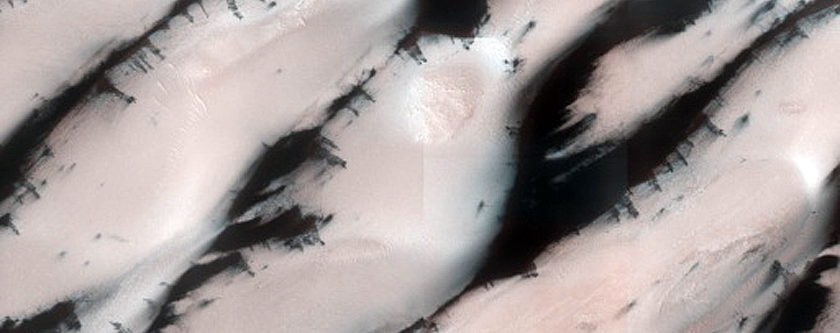 Terrain Sample