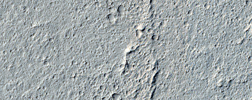 Elysium Planitia Lava