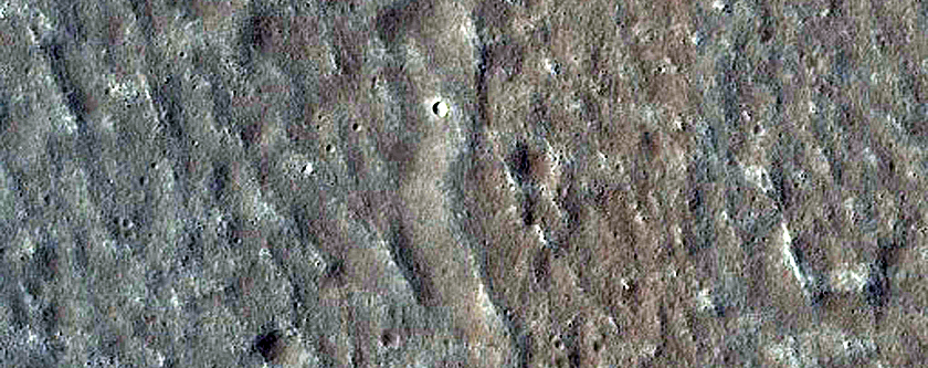 Utopia Planitia Terrain