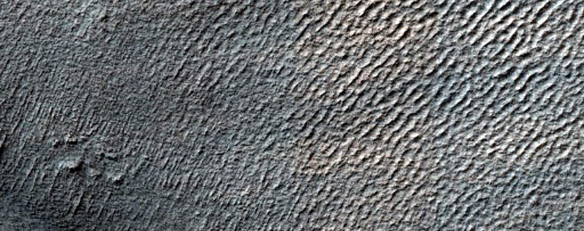 Hellas Planitia