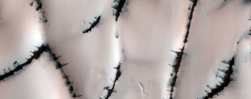 Terrain Sample