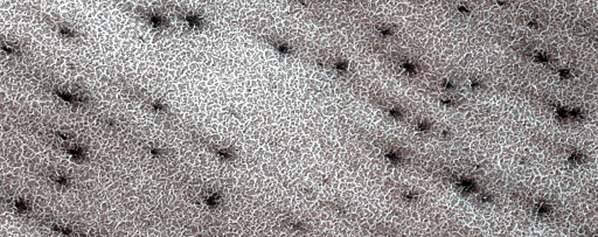 Terrain Sample