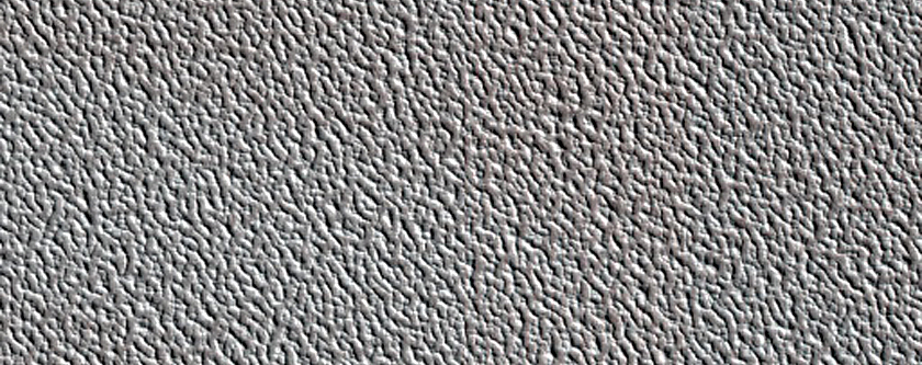 Terrain Sample