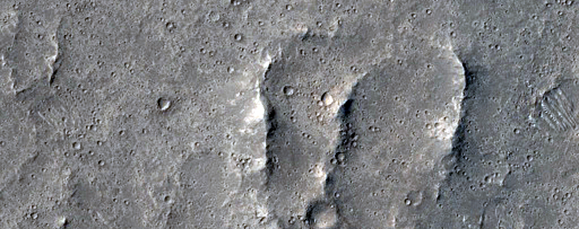 Elysium Planitia