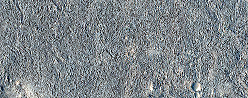 Utopia Planitia Terrain