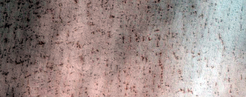 Terrain Sample