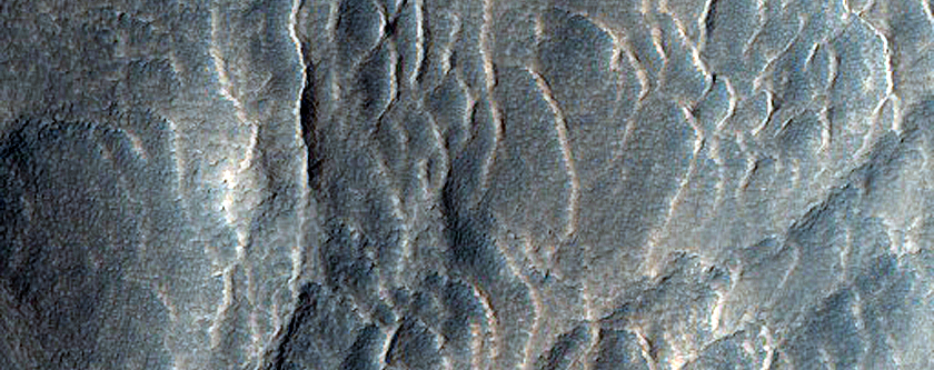 Gullies