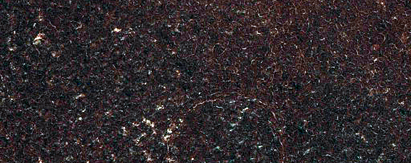 Terrain Sample