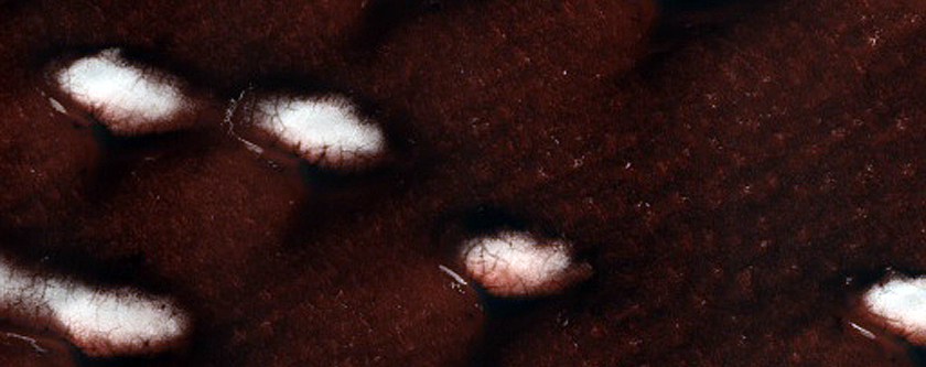 Terrain Sample