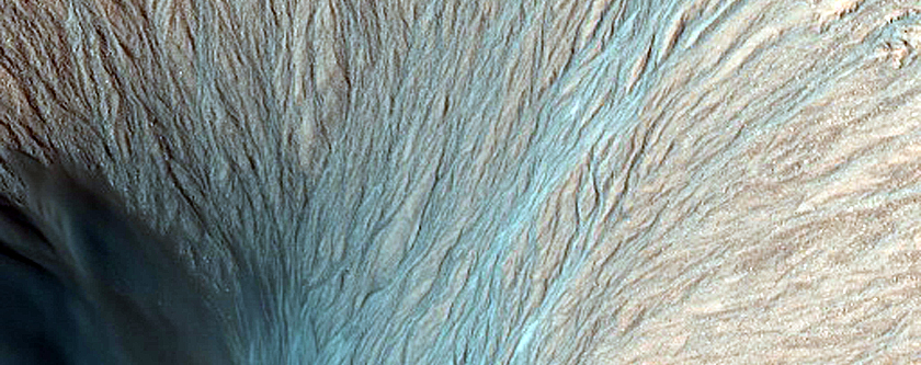 Gully Frost Monitoring