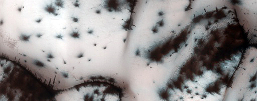 Terrain Sample