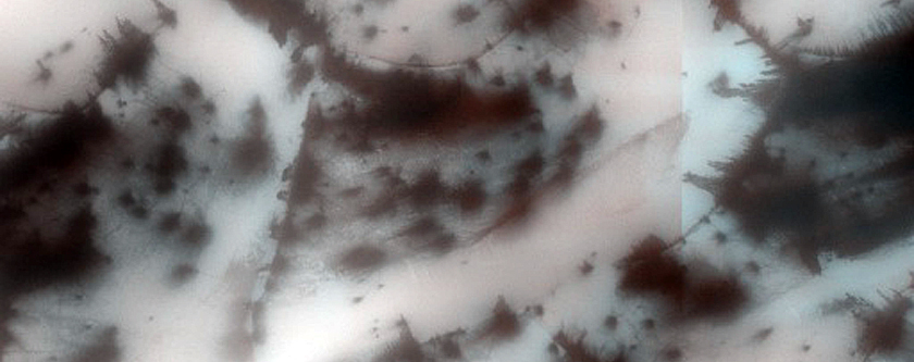 Terrain Sample