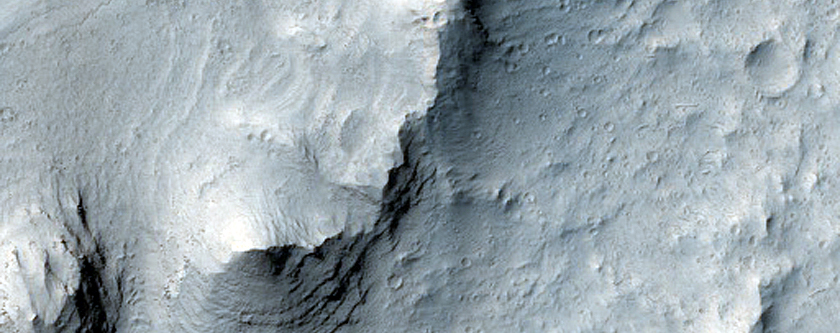 Raised Curvilinear Ridges